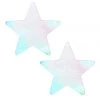 THE LUMi SHOP Holographic Star Pasties