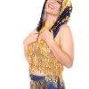 THE LUMi SHOP Reversible Sequin Hood - Blue & Gold Sequin Hoods