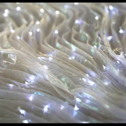 THE LUMi SHOP Rainbow LED Butterfly Wings (300 Lights, Batteries Not Included) 12 THE LUMi SHOP Rainbow LED Butterfly Wings (300 Lights, Batteries Not Included)